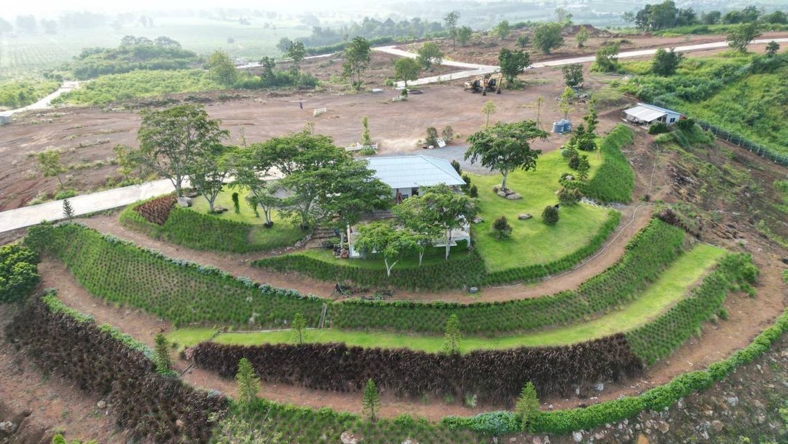 ขายที่ดินเขาใหญ่ บนเนินเขา *วิว360องศา เริ่ม 1.26 ล้านบาท (สูง 440 ม.)   อากาศบริสุทธิ์   อ.ปากช่อง จ.นครราชสีมา 14