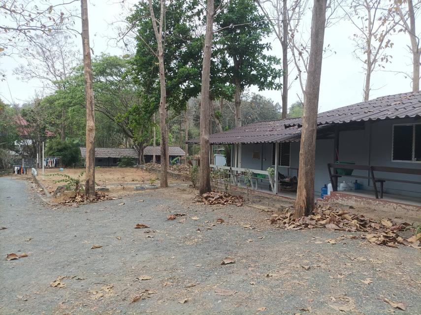 ขายที่ดินพร้อมสิ่งปลูกสร้าง ต.เชิงดอย อ.ดอยสะเก็ด จ.เชียงใหม่ 9