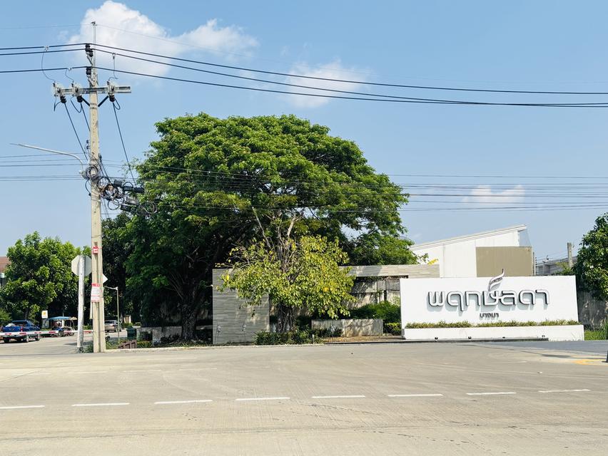 บ้านเดี่ยว หมู่บ้านพฤกษ์ลดา 11