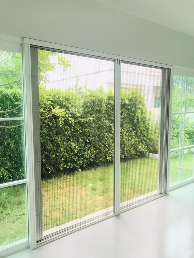 มุ้งจีบเก็บราง มุ้งจีบซ่อนราง มุ้งจีบตีนตะขาบ 4