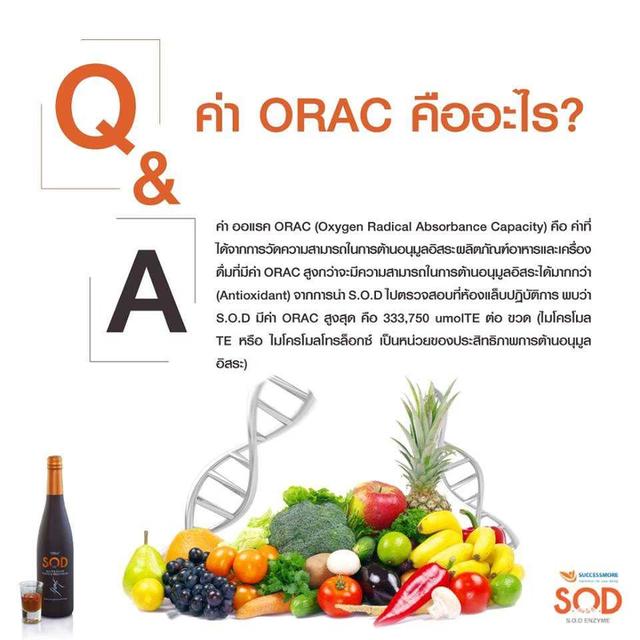 เอสโอดี.อาหารเสริมเป็นน้ำผลไม้ 13