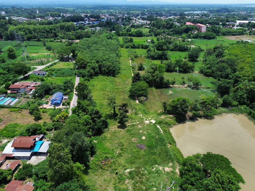 ที่ดิน 6