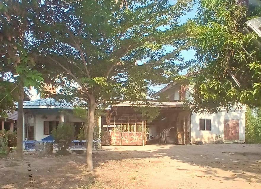 ที่ดินพร้อมบ้าน 2 ชั้น 2 หลัง 1