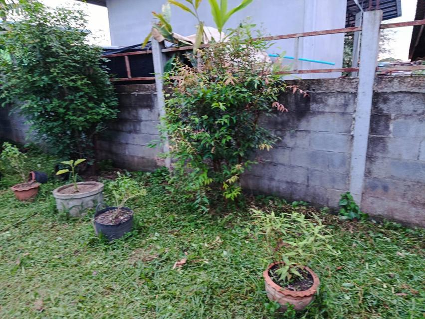 บ้านเดี่ยวชั้นเดียวหนองคาย 6