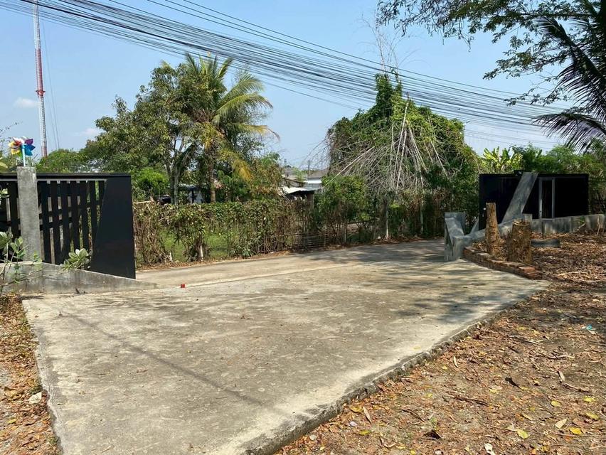 ที่ดินพร้อมสิ่งปลูกสร้าง บ้านวังสิงห์คำ ต.ป่าแดด อ.เมืองเชียงใหม่ 8