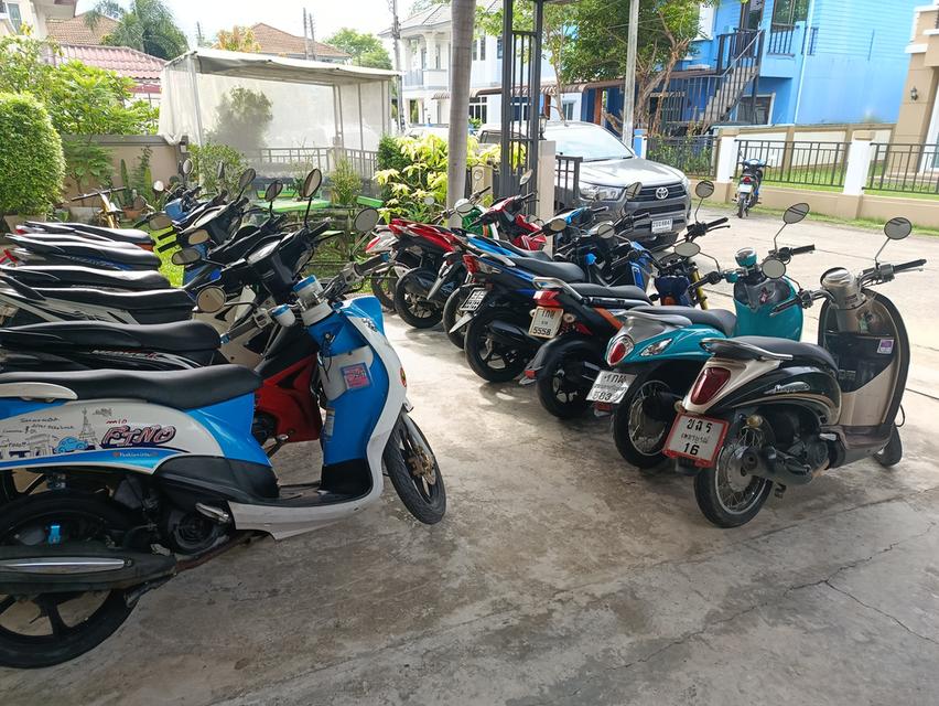 Scoopy-i  10