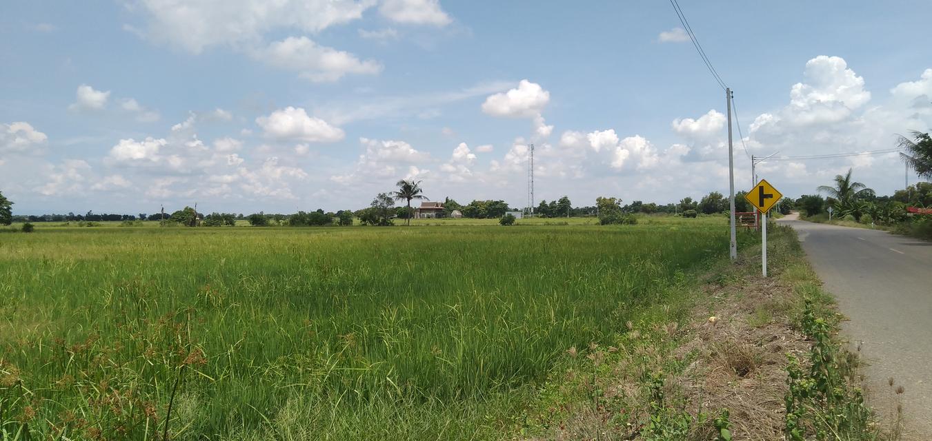 ขายที่ดิน คลอง 21 อำเภอบางน้ำเปรี้ยว จังหวัดฉะเชิงเทรา 5
