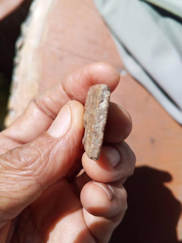 พระสมเด็จวัดระฆังพิมพ์ใหญ่ 2