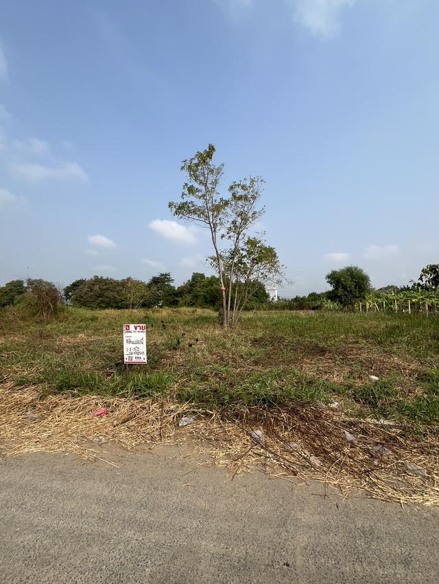 ืที่ดินเปล่าถมแล้ว โครงการเวิลด์คลับแลนด์ 7