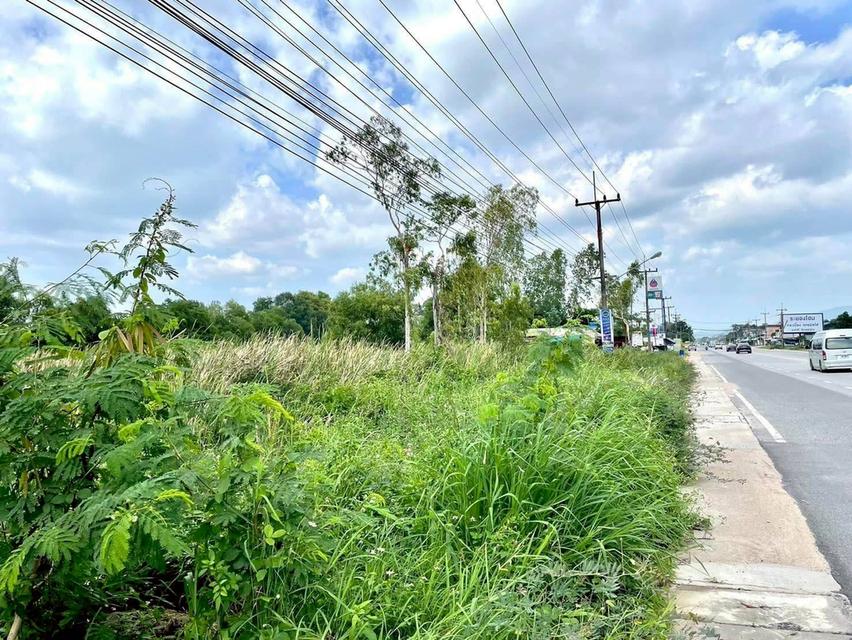 ขายที่ดินตาขัน 7 ไร่ ติดถนนเส้นเชิงเนิน-ชากบก ใกล้แยกบ้านดอนถนนเส้น36-2กม. อ.บ้านค่าย จะระยอง 5