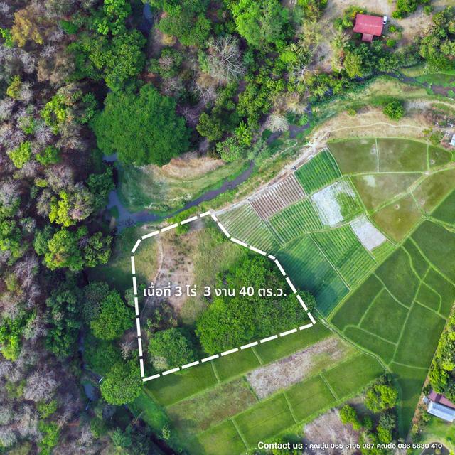 ขายที่ดินบ้านสวนเชียงใหม่ ป่าเมี่ยง ดอยสะเก็ด