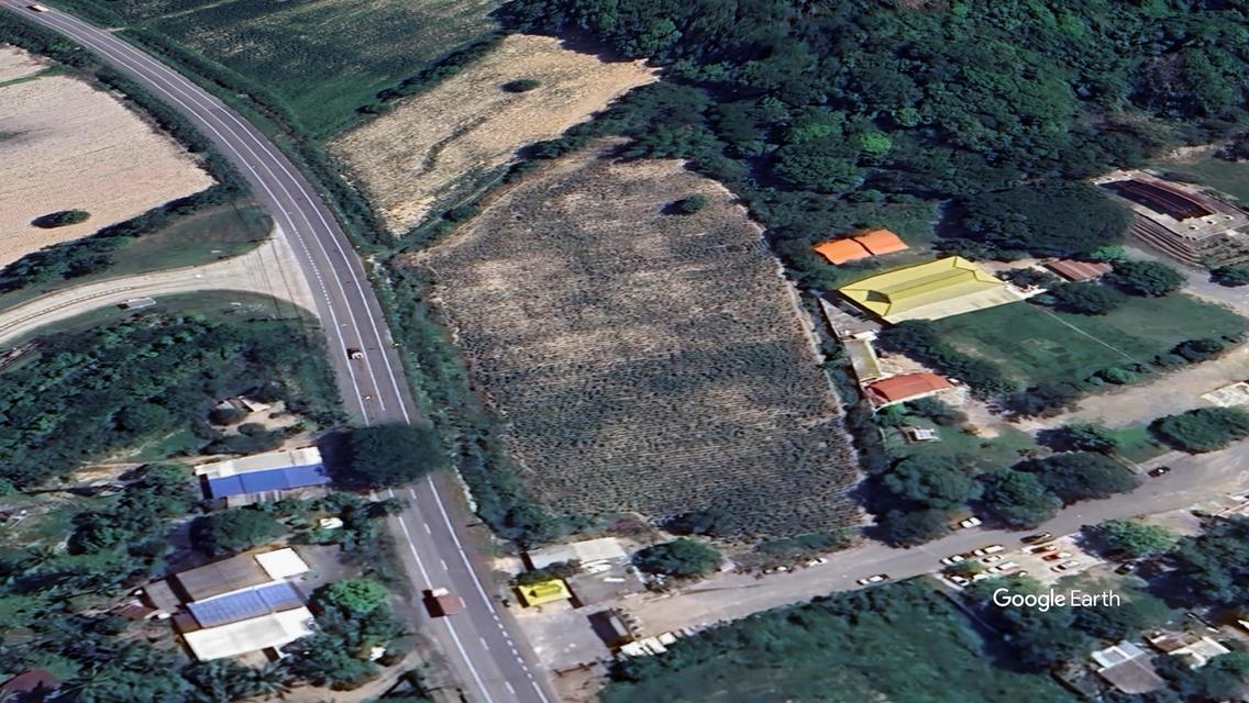โอกาสลงทุนทำเล ที่ดิน 8 ไร่เศษ ติดถนน 3241 ตรงข้ามทางเข้านิคมฯ WHA Chonburi 2 32,730,000 บาท 3