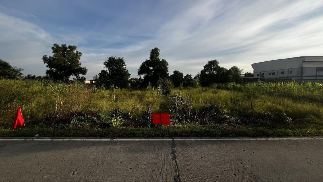 ขายที่ดินเปิดแปลงใหม่ คลองสาม  คลองหลวง ปทุมธานี 100 ตารางวาเพียง  8.5 แสนบาท 15