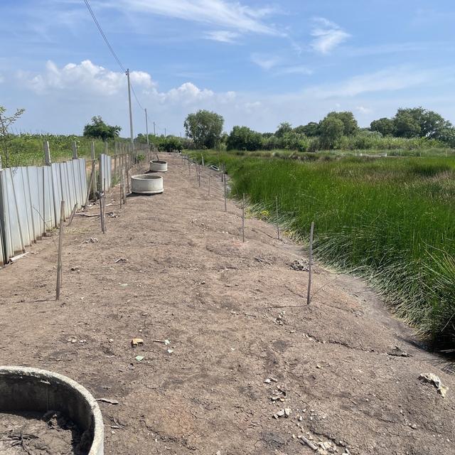 ขายที่ดินเปล่า 4 ไร่ ตำบล วัดยม อำเภอ บางปะอิน จังหวัด พระนครศรีอยุธยา 9