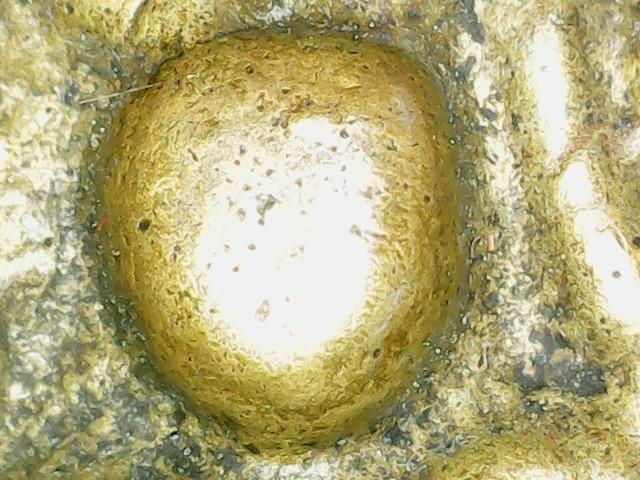 หลวงพ่อเงินพิมพ์รูปหัวใจ(จอบเล็ก) เนื้อโลหะผสม ปี2450-2460 แท้และทันยุค รูปที่ 5