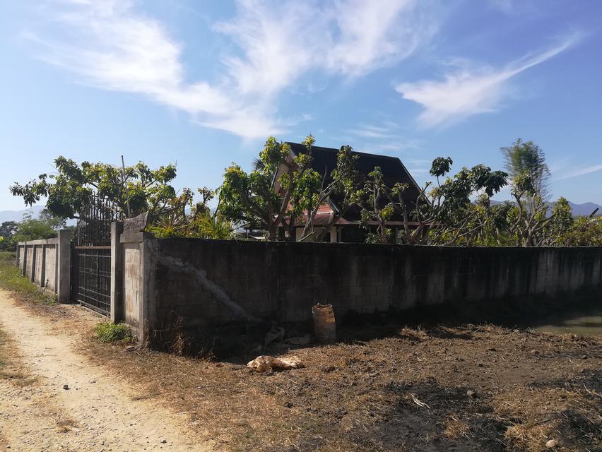 ขายที่ดิน+บ้านสวน อำเภอแม่ริม จังหวัดเชียงใหม่ บรรยากาศธรรมชาติสโลว์ไลฟ์ เหมาะทำคาเฟ่ รีสอร์ท ฟาร์มสเตย์ และธุรกิจเกษตร 4