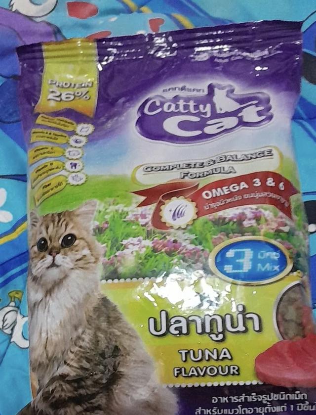 Catty Cat