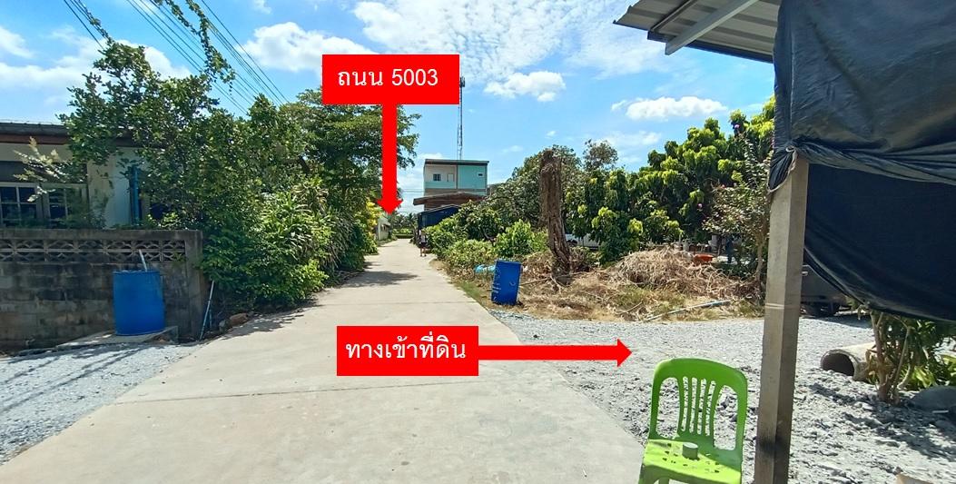 ขายที่ดิน 165 ตร.วา ต.คลองจินดา อ.สามพราน จ.นครปฐม 3