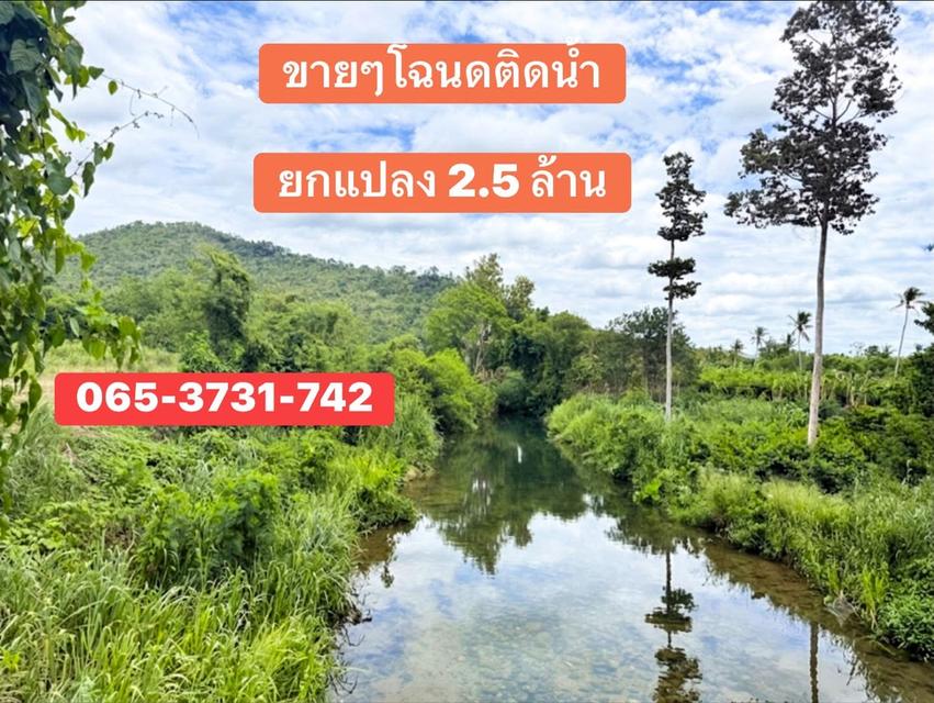 ที่ดินติดน้ำวิวภูเขา สวนเกษตรร่มรื่น ดินดี เหมาะสำหรับไว้พักผ่อนยามเกษียณ 1
