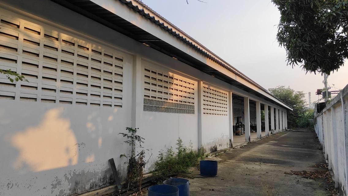 ขายโรงงาน ขนาด 3.52ไร่ 7
