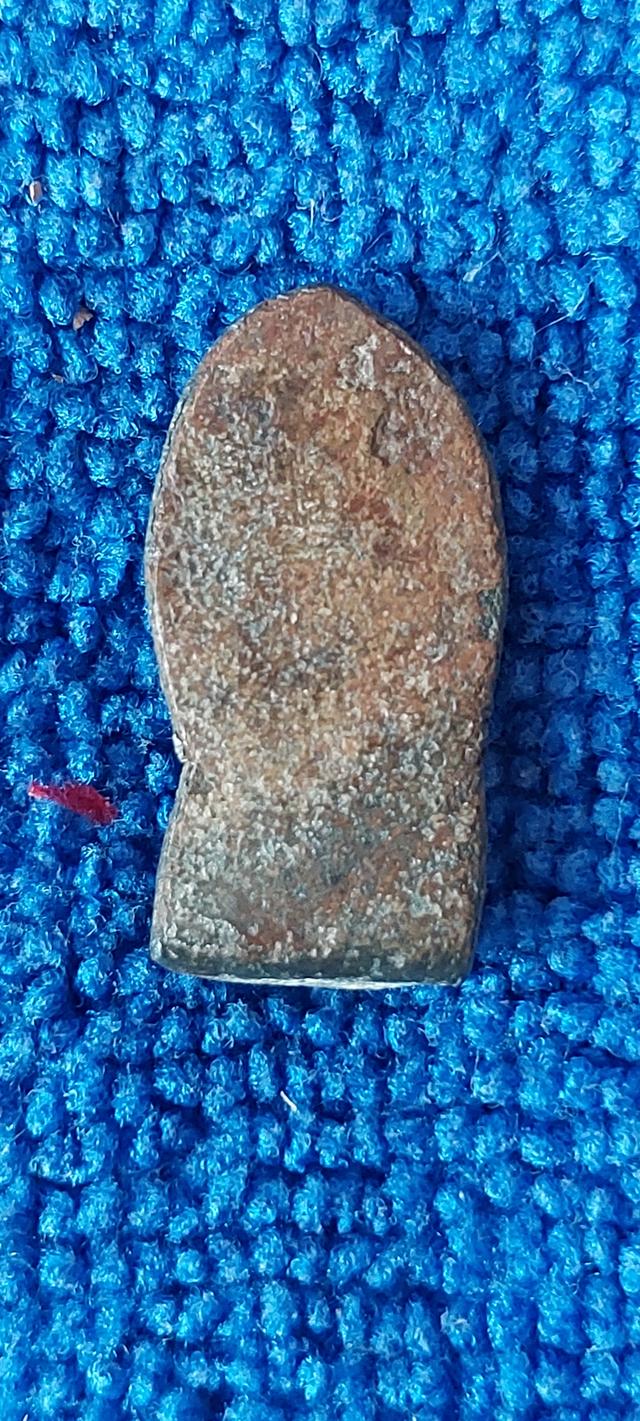 พระนาคปรก กรุจังหวัดพิจิตร รูปที่ 5