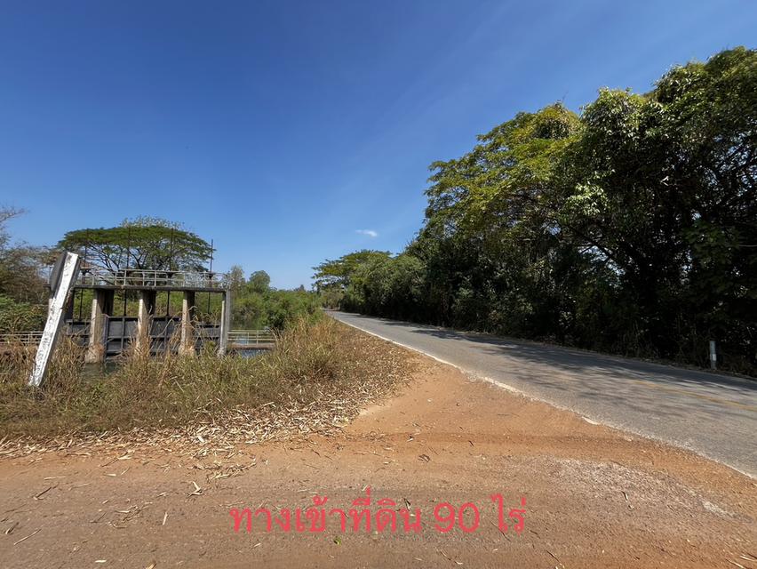 ขายที่ดินสำหรับทำการเกษตร ในเขตอำเภอเมือง ขอนแก่น 9