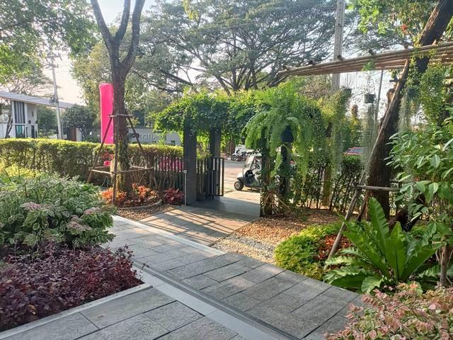 ขายหรือให้เช่าคอนโดมิเนียม Zelle Salaya 2 ห้องมุม พร้อมเข้าอยู่ ตำบล ศาลายา อำเภอพุทธมณฑล นครปฐม 8