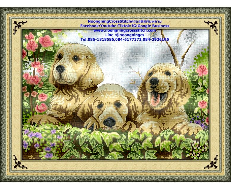 ร้าน Noongning Cross stitch ครอสติสพิมพ์ลาย จำหน่ายอุปกรณ์ครอสติส ภาพติดเพชร500 6