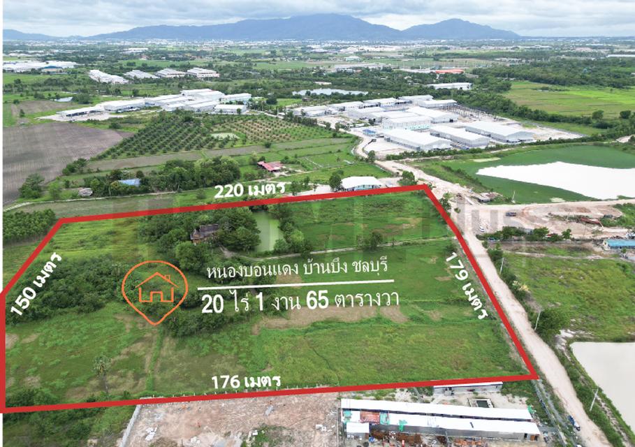 ขาย ที่ดิน บ้านบึง หนอง บอน แดง ชลบุรี(พร้อมสิ่งปลูกสร้าง) รูปที่ 3