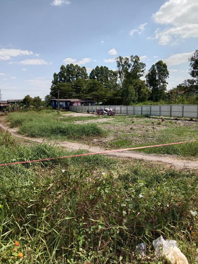 ขายที่ดินเปล่า บางปะอิน 10