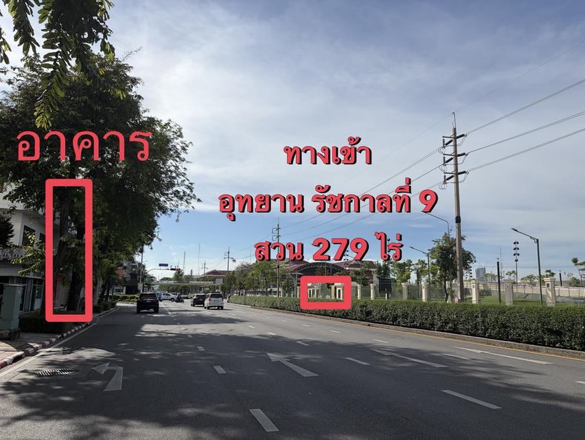 ปล่อยเช่าอาคารพาณิชย์ 2 คูหาติดกัน 2