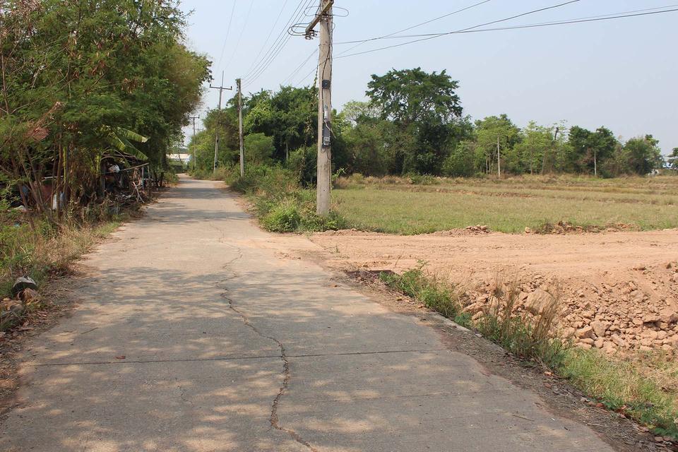 ที่ดินสวยชานเมืองขอนแก่นติดถนนคอนกรีตใกล้ห่างโรงพยาบาล 400 เมตร 7