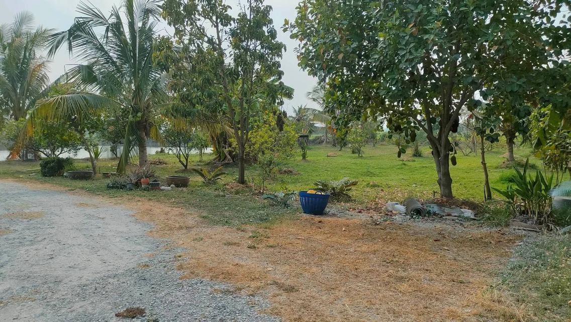 บ้านพร้อมที่ดินแปลงใหญ่ 7