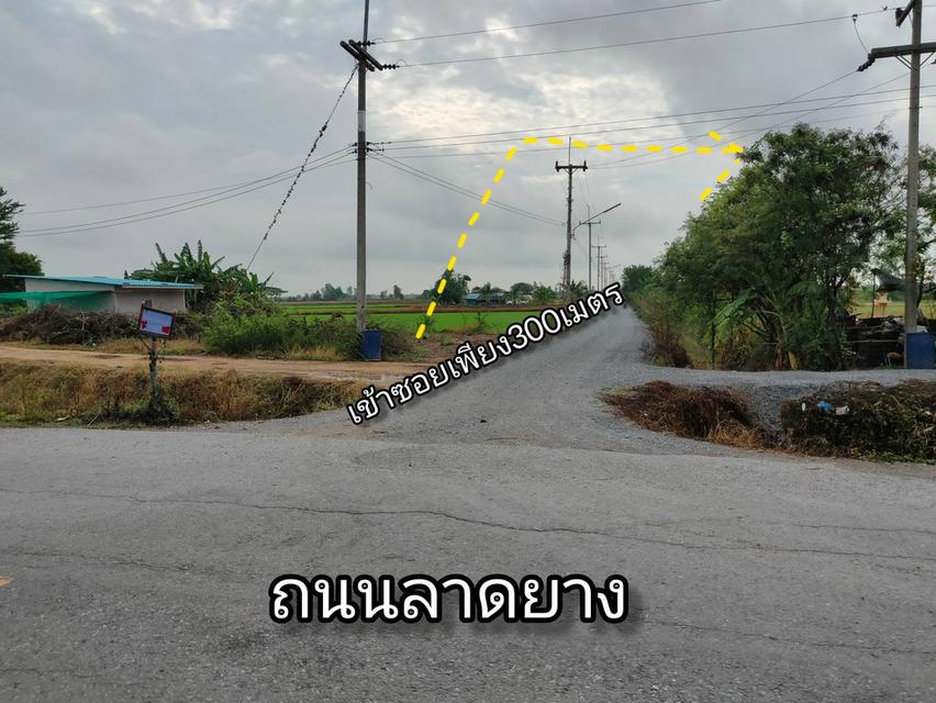 ที่ดิน1ไร่3งาน50ตร.ว. แปลงสุดท้าย ราคาถูก เมืองสุพรรณบุรี 6