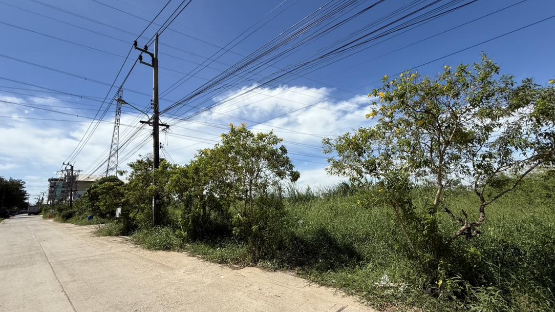 ที่ดินเปล่า 2