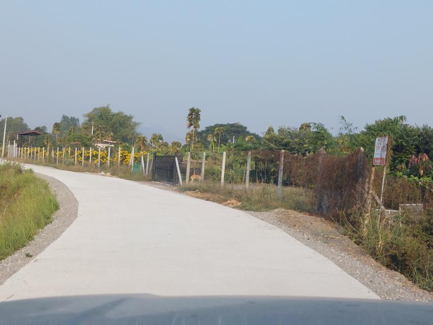 ขายด่วน! ที่ดินสีม่วง 8 ไร่เศษ หนองชุมพล อ.เขาย้อย จ.เพชรบุรี ทำเลสร้างโรงงาน-โกดัง ราคาถูกมาก 12
