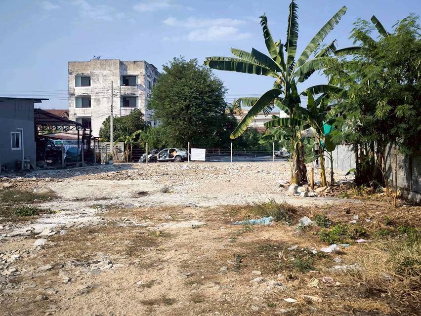 ขายที่ดินใกล้วัดอุดมรังสี 174 ตรว  ติดถนนคอนกรีต สาธารณะ ซ.เพชรเกษม 79 แยก 6  เขตภาษีเจริญ กทม. 5