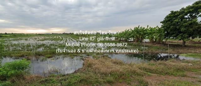 DSL-1016 ขาย ที่ดิน ขายที่ดินทุ่งนา 103-0-44 ไร่ ศรีจุฬา อ.เมืองนครนายก นครนายก ราคา 31 ล้านบาท ใกล้กับ วัดศรีจุฬา 6