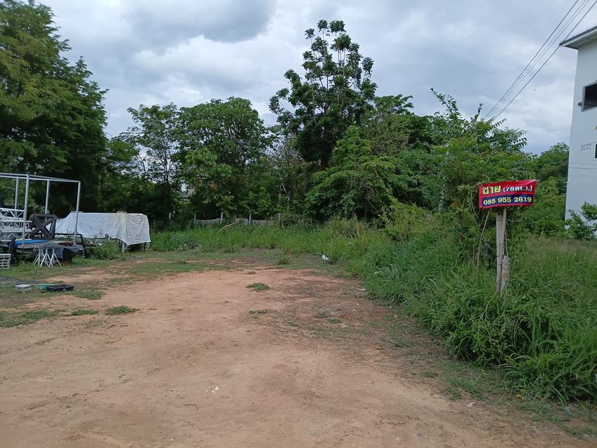 ที่ดินเปล่า หัวหิน อยู่บนเนิน มองเห็นวินทะเล 3
