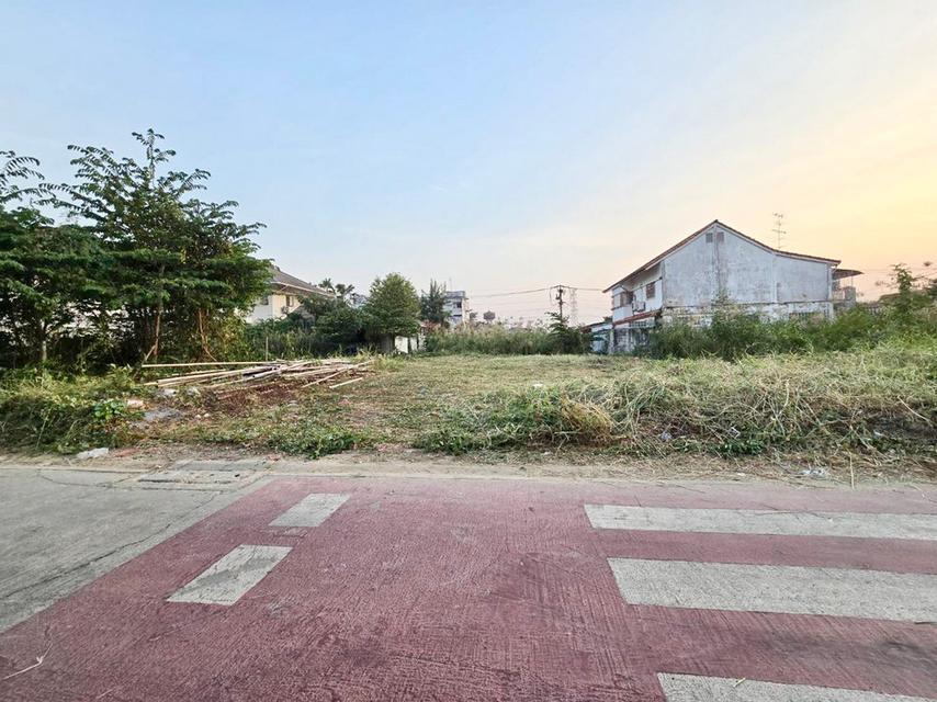 ที่ดินถมแล้ว 100 ตร.วา ตรงข้าม รร.อนุบาล ยุวมิตร เพชรเกษม 77 แยก 4-7 ถนนสวัสดิการ 2 ซอย 10 หนองแขม 1