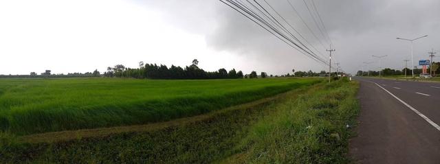 ทึ่ดินเปล่าติดถนนใหญ่ 1