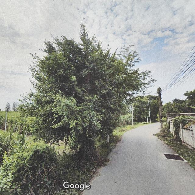 ที่ดินเปล่า ต.สวนกล้วย อ.บ้านโป่ง จ.ราชบุรี 154 ไร่กว่า 8