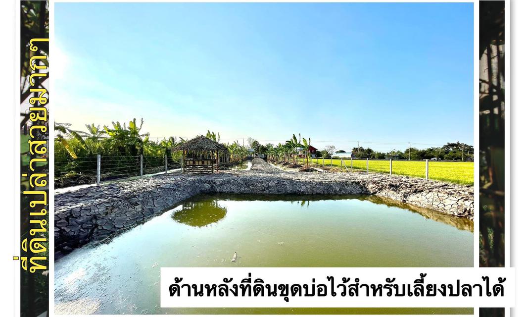 รูป ขายที่ดิน 488 หว้าอำเภอขายที่ดิน 488 วรอำเภอไทรน้อยจังหวัดนนทบุรี 3