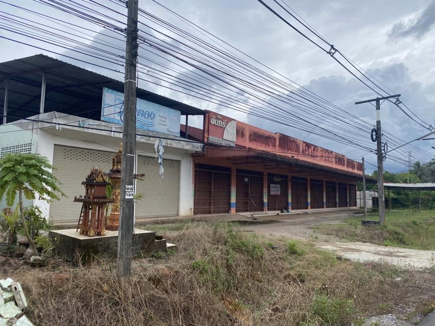 ขายที่ดินพร้อมสิ่งปลูกสร้าง 2