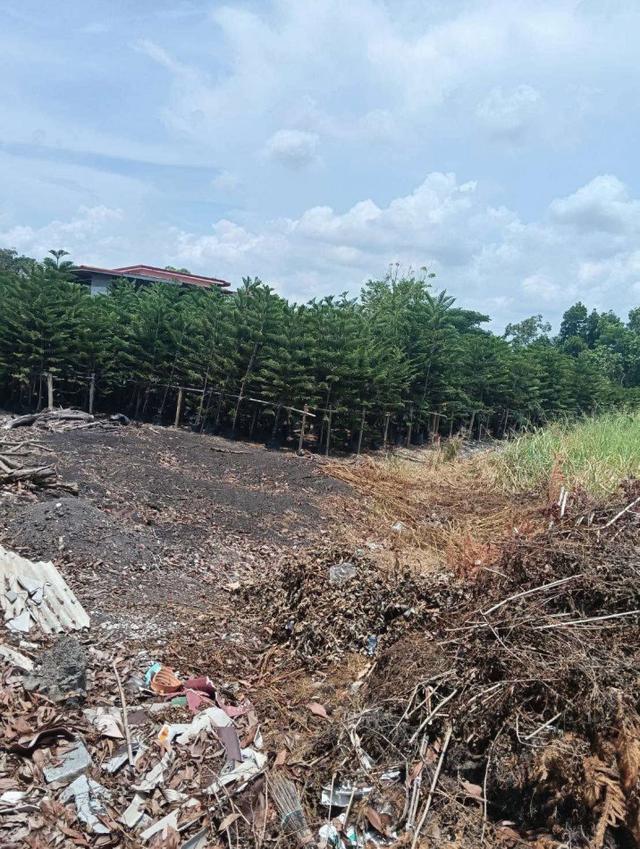 ขายที่ดิน พร้อมสวน และสิ่งปลูกสร้าง คลองใหญ่ องครักษ์ นครนายก 2 ไร่ 2 งาน 59 ตรว เหมาะสร้างบ้าน หรือ ทำการเกษตร 2
