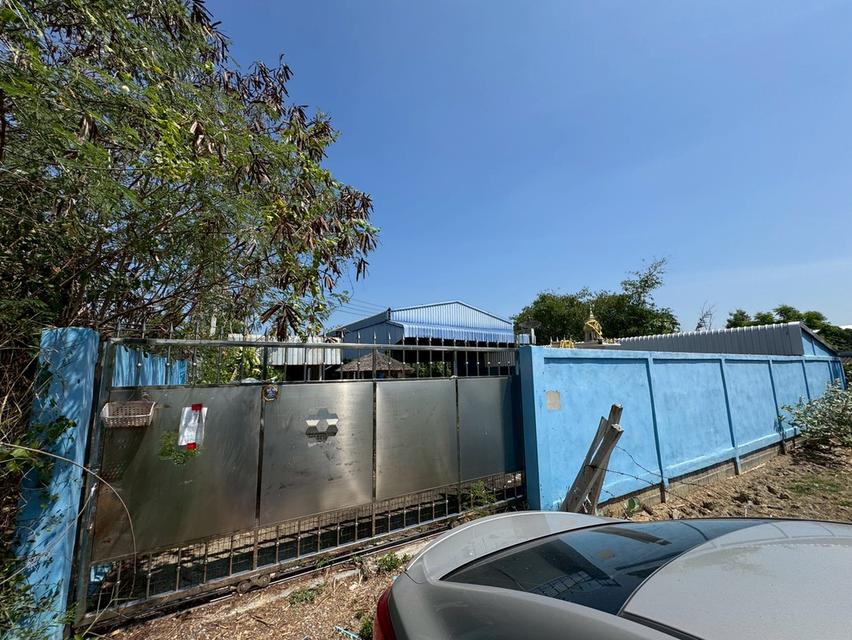 🔥 ขายด่วน โกดัง/โรงงาน ทำเลทอง ต.สวนป่าน อ.เมืองนครปฐม ใกล้มอเตอร์เวย์ M81 1