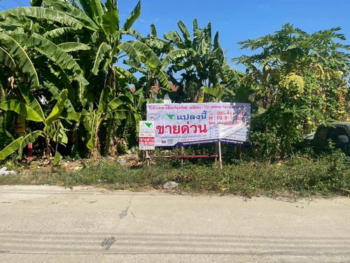 ขายที่ดินเปล่า 119 ตร.ว.ซอยคลองหลวง33 ต.คลองหนึ่ง อ.คลองหลวง จ.ปทุมธานี 2