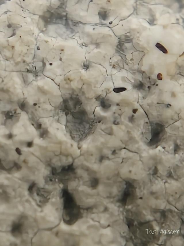 พระสมเด็จวัดระฆังโฆสิตาราม 15