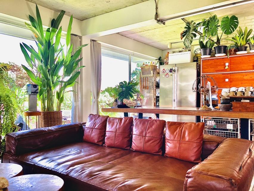 ขาย บ้านเดี่ยว ทวีวัฒนา25 ทรงกล่องโมเดิร์น สถาปนิกออกแบบเอง 89ตรว พร้อม Rooftop ติดคลอง บรรยากาศดี ใกล้ ม.มหิดล เหมาะเป็ 6