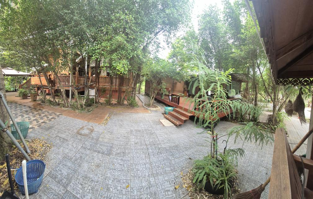 บ้านเดี่ยวพร้อมที่ดินร่มรื่นเป็นธรรมชาติ 4